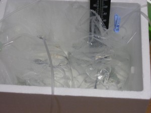 温度・水合わせ中